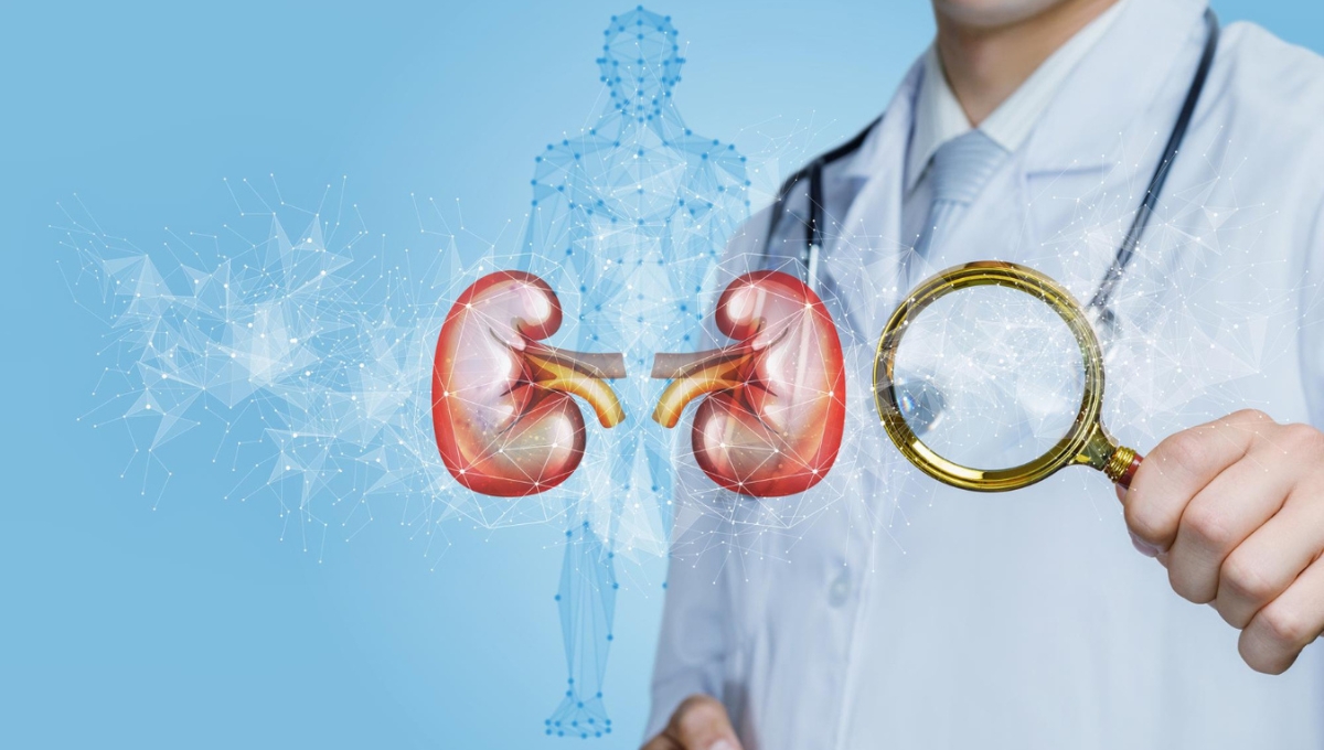 Stage 3 Kidney Disease