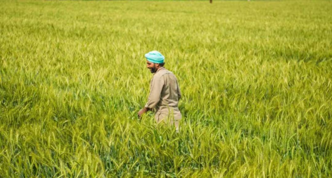 Bharat-VISTAAR Launch Today