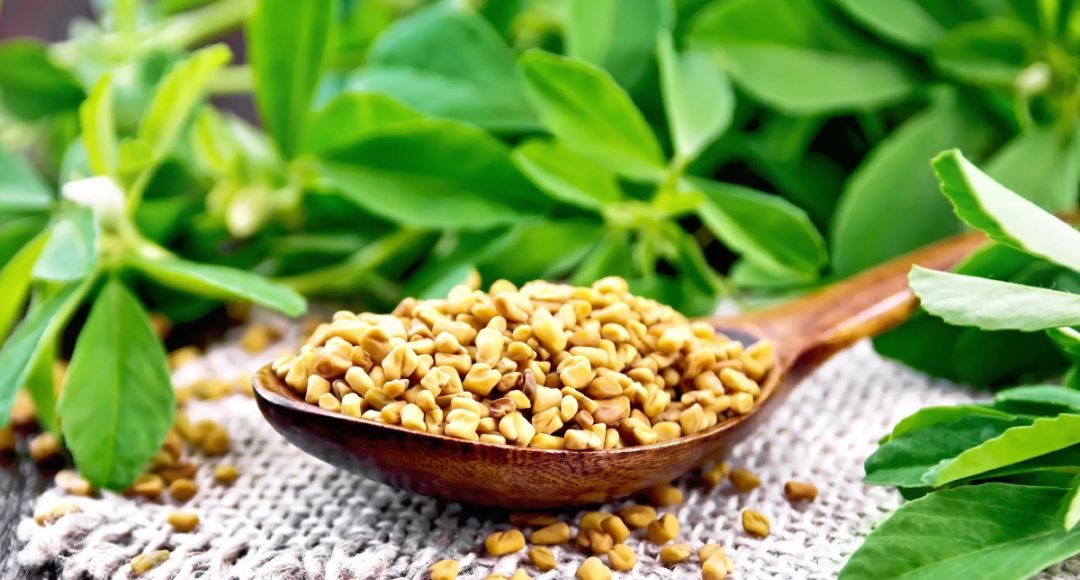 Fenugreek Water For Hair