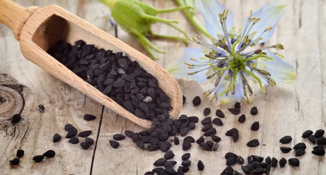 Nigella Seeds For Hair