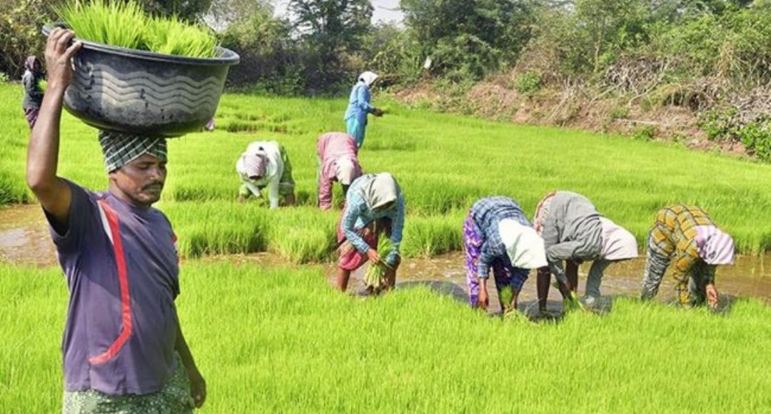 CM Kisan Kalyan Yojana 14th Installment