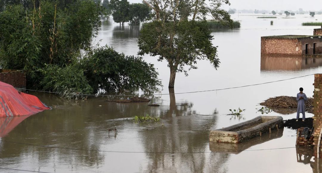 Pakistan Flood German Companies Case Compensation