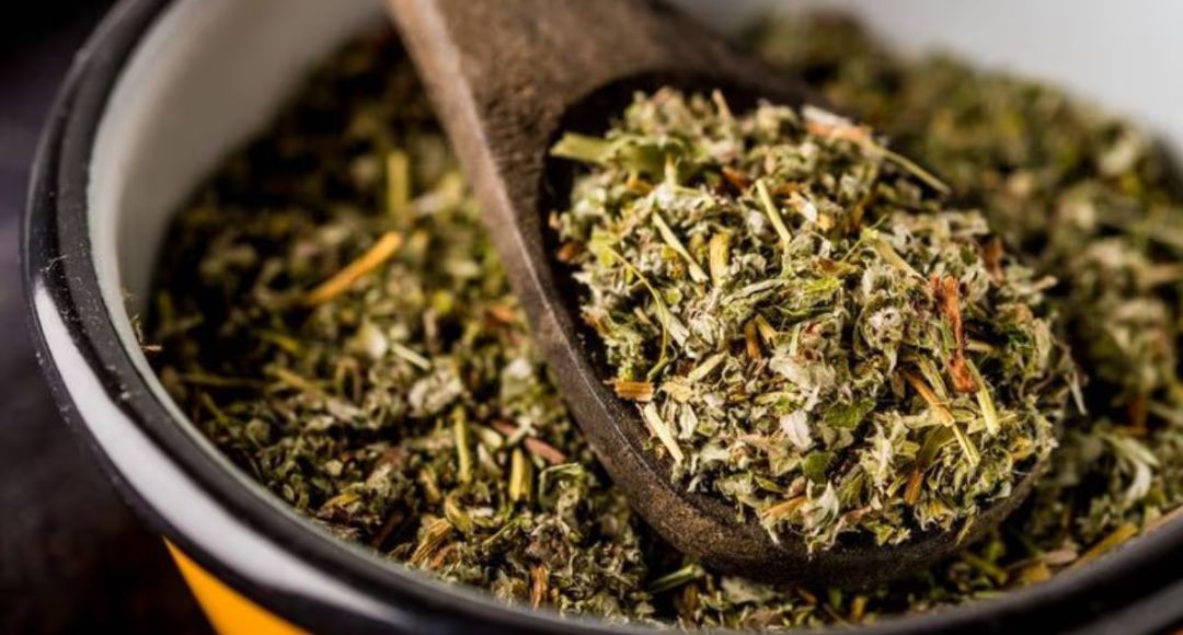 Oregano Seasoning Storage Tips