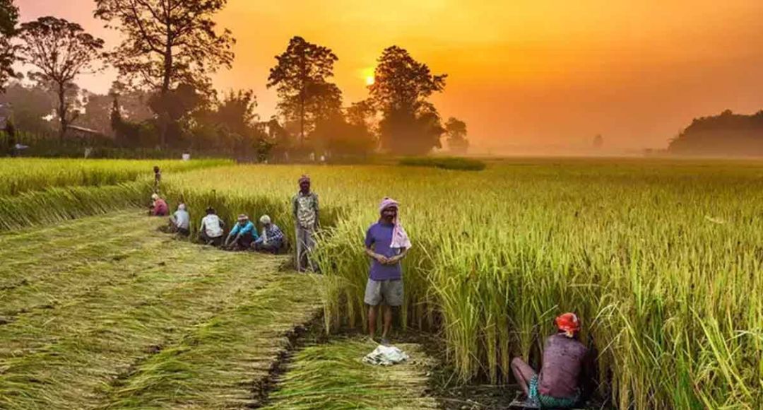 CM Kisan Kalyan Yojana 14th Installment