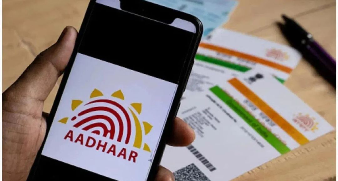 Aadhaar Usage History Check