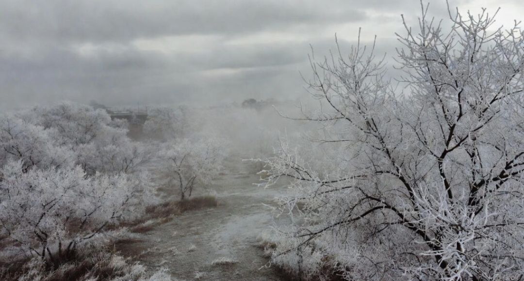Western Disturbance Weather