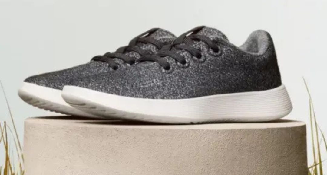 Allbirds AI Pivot Stock Surge