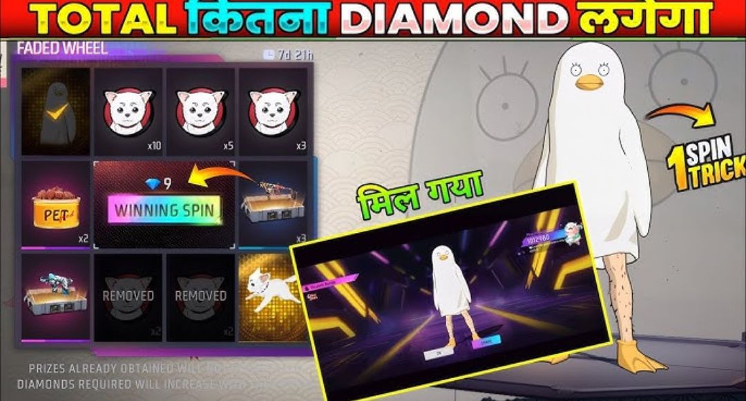 Elizabeth Bundle Faded Wheel Event
