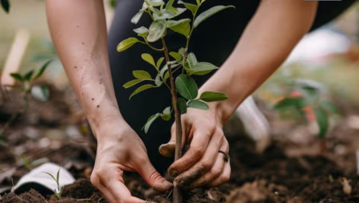 World Environment Day