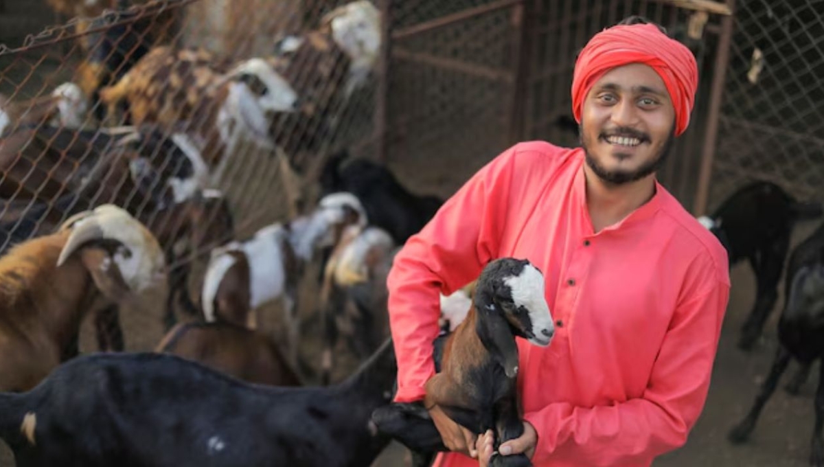 Bakri Palan Business Loan