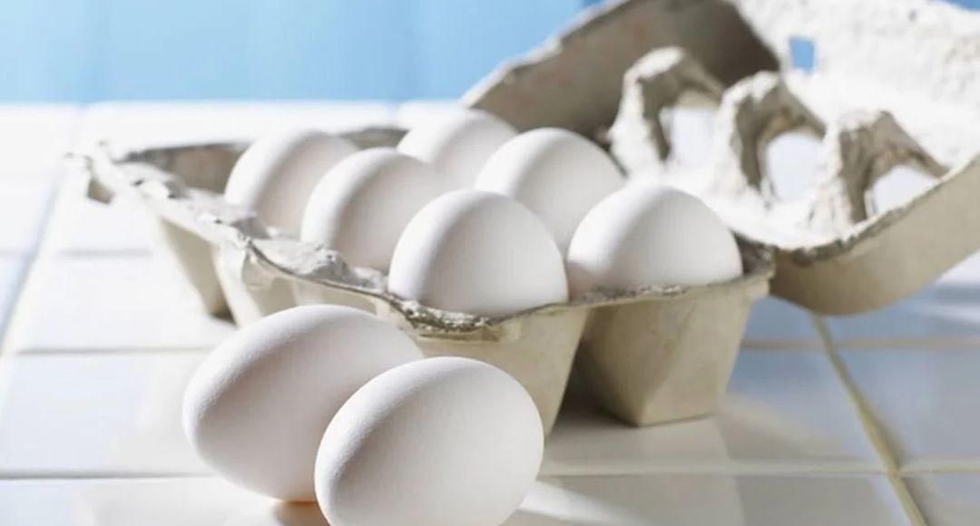 Egg Expiry Rule UP
