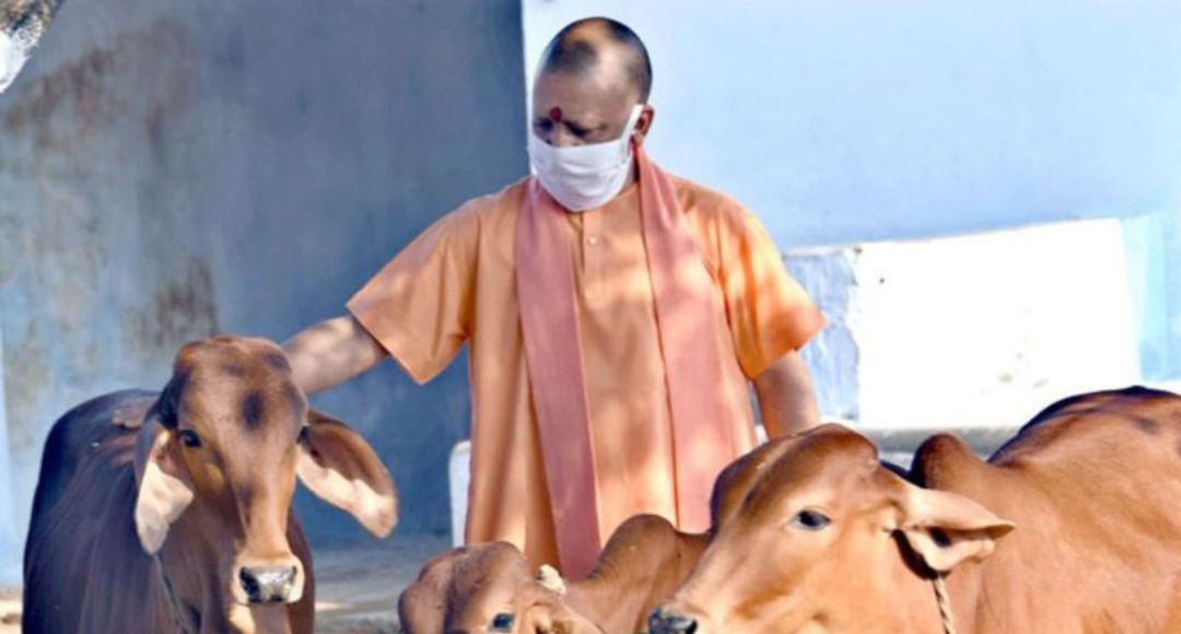 Cow Slaughter Action UP