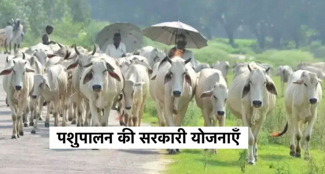 MP Pashupalak Yojana