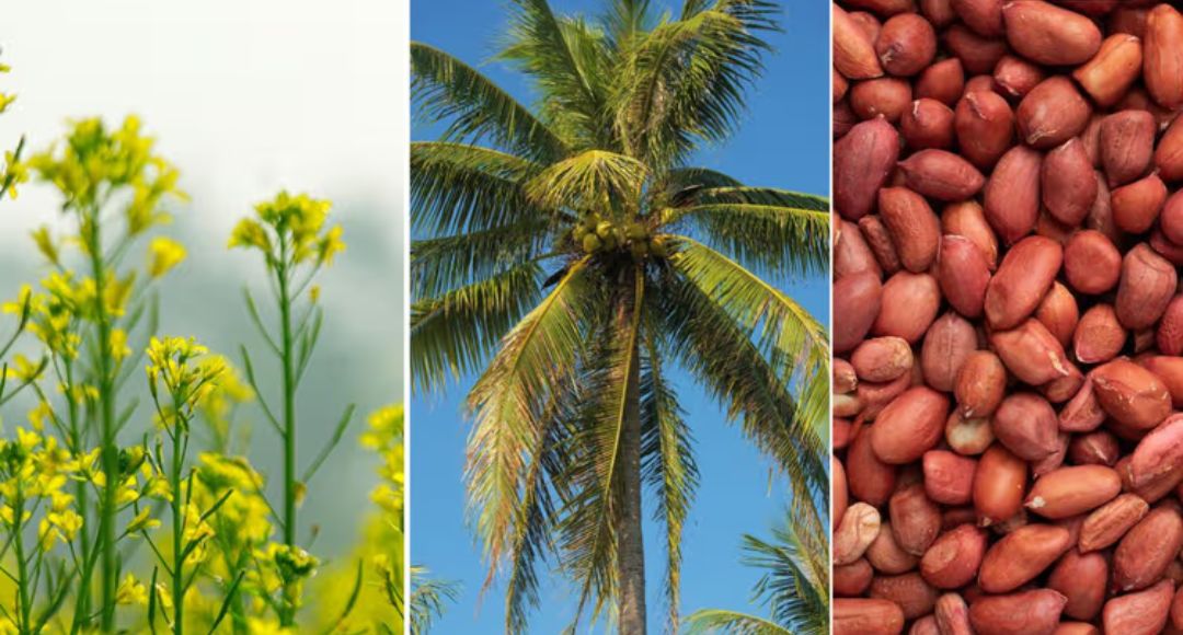Edible Oil Market