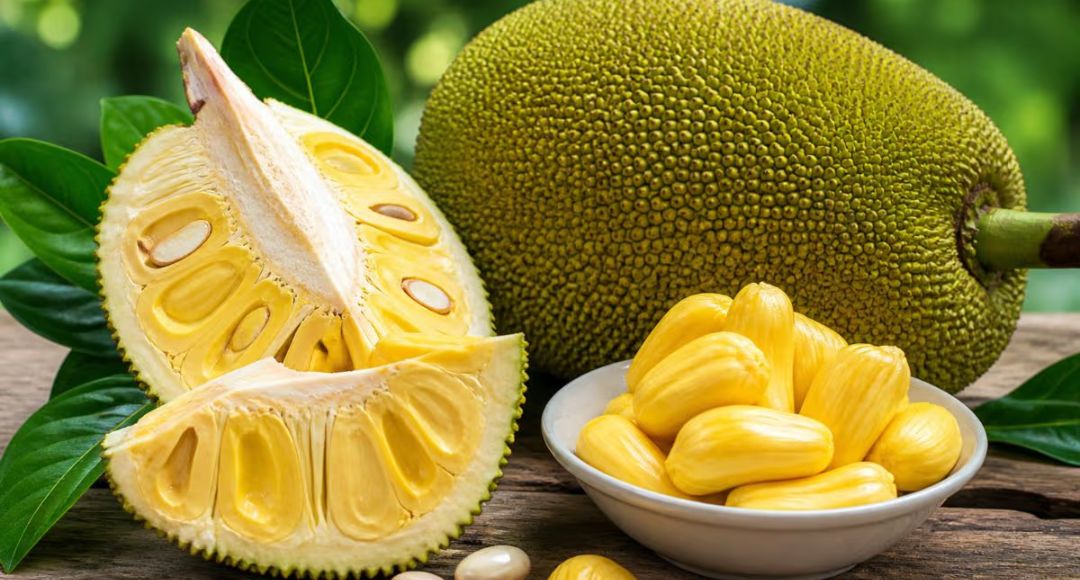 Jackfruit