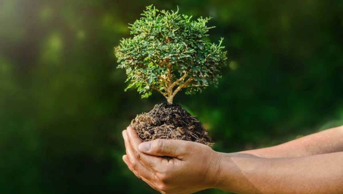 World Environment Day